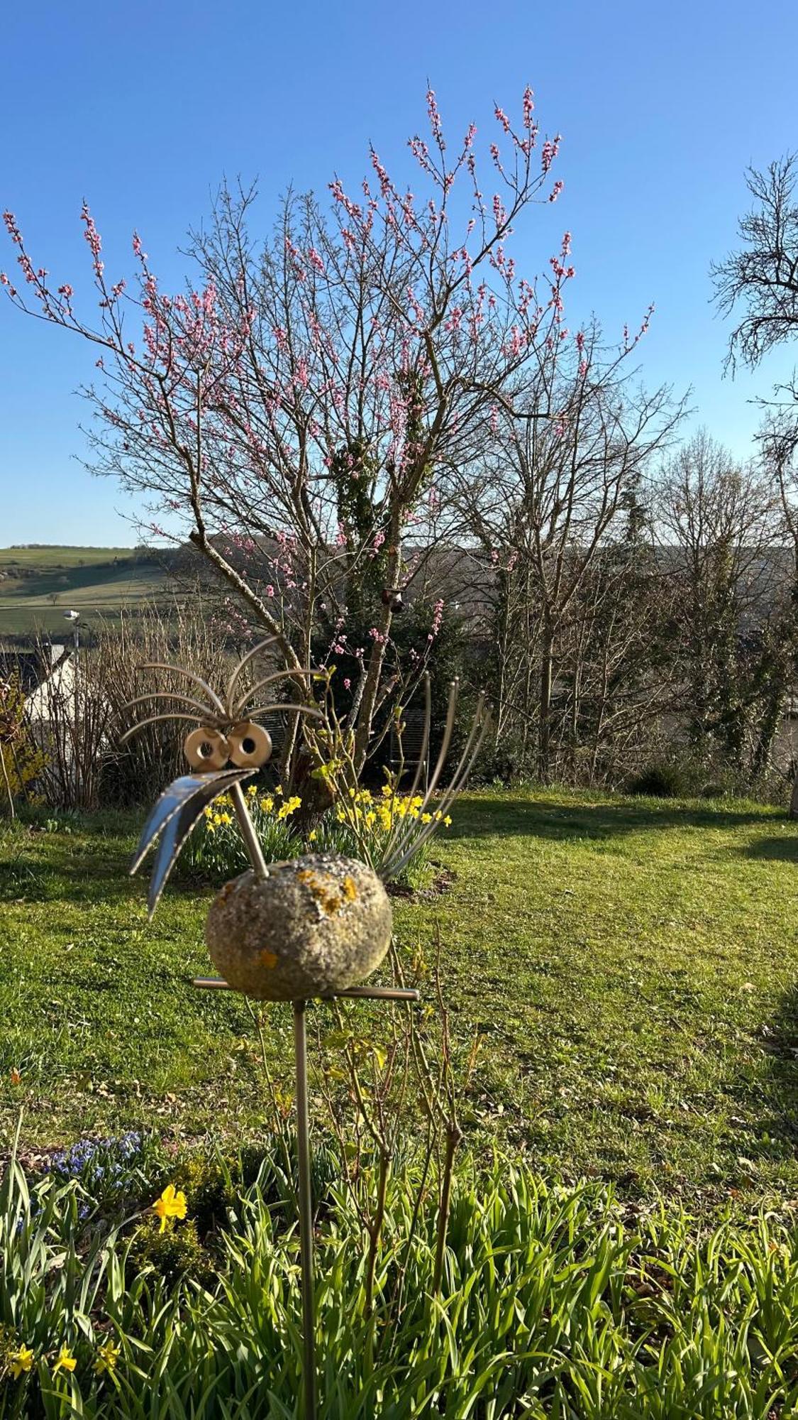 Panoramablick Appartement Bad Sobernheim Buitenkant foto